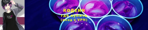 шишки Белокуриха