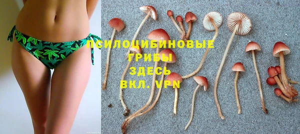 марки lsd Бородино