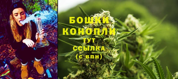 каннабис Богданович