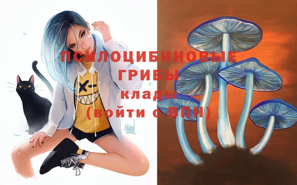 соль ск Богородицк