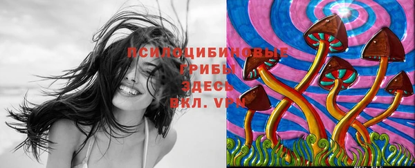 марки lsd Бородино